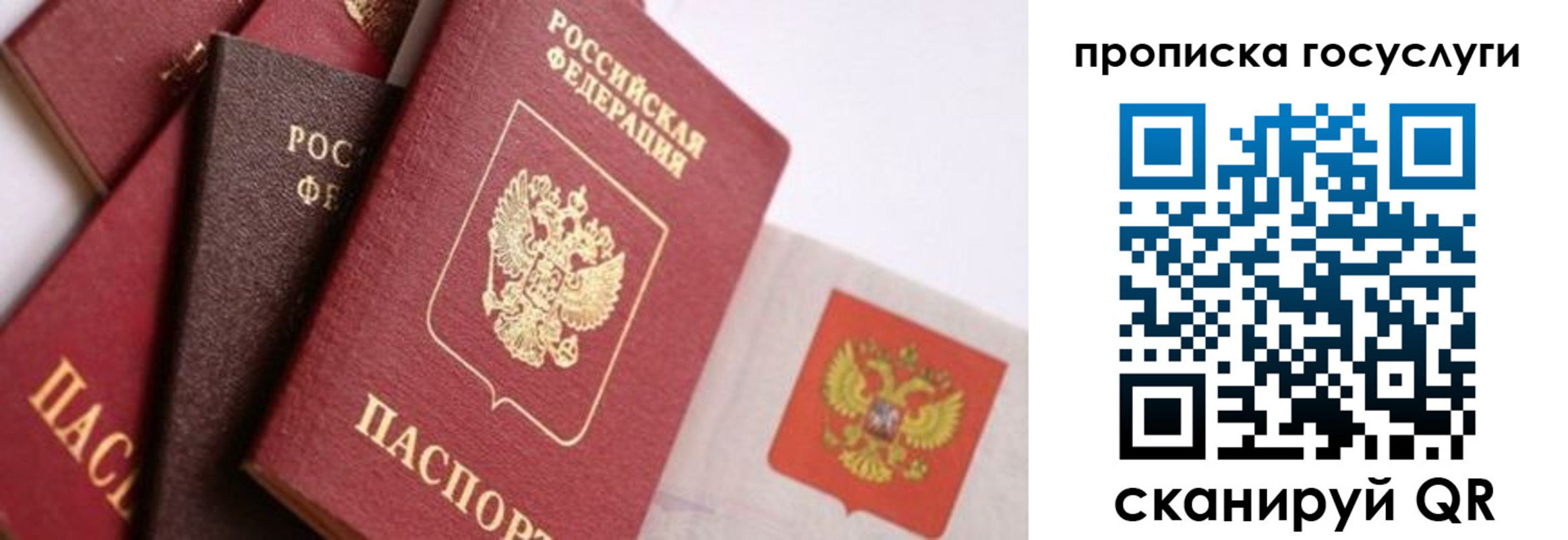 прописка законно в Вытегре